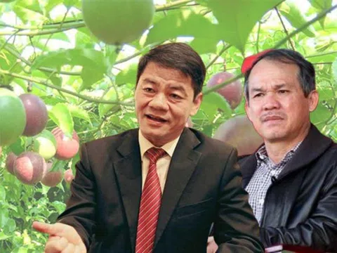 Tỷ phú Trần Bá Dương đang chuẩn bị cho ngày hưởng “trái ngọt” từ HAGL Agrico